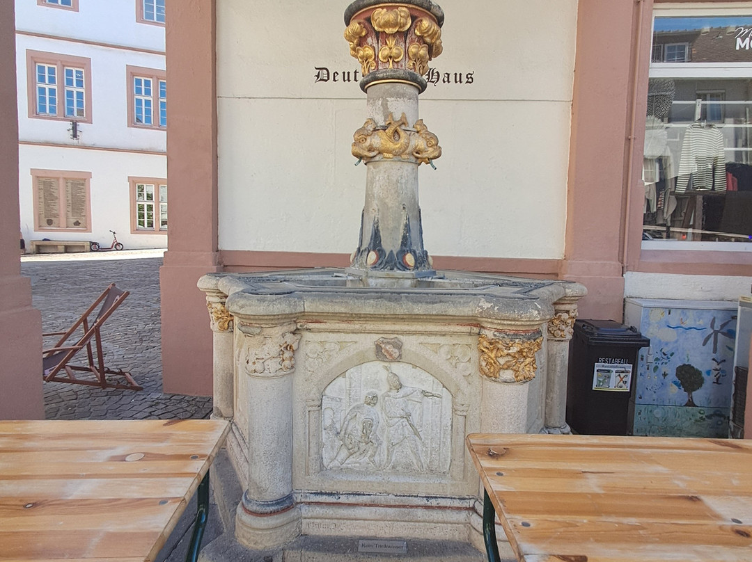 Museum der Stadt Alzey景点图片