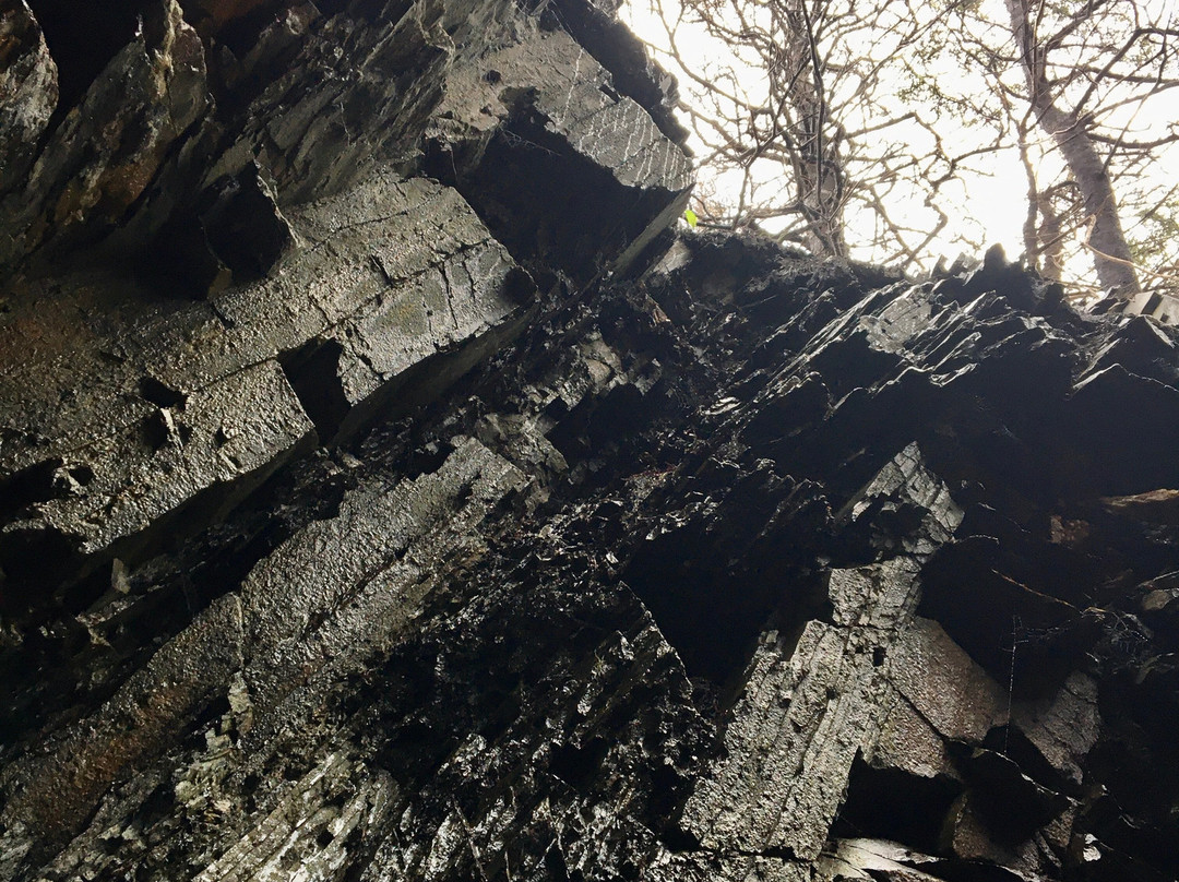 Supernova Tours Inc.-哈利法克斯必去景点