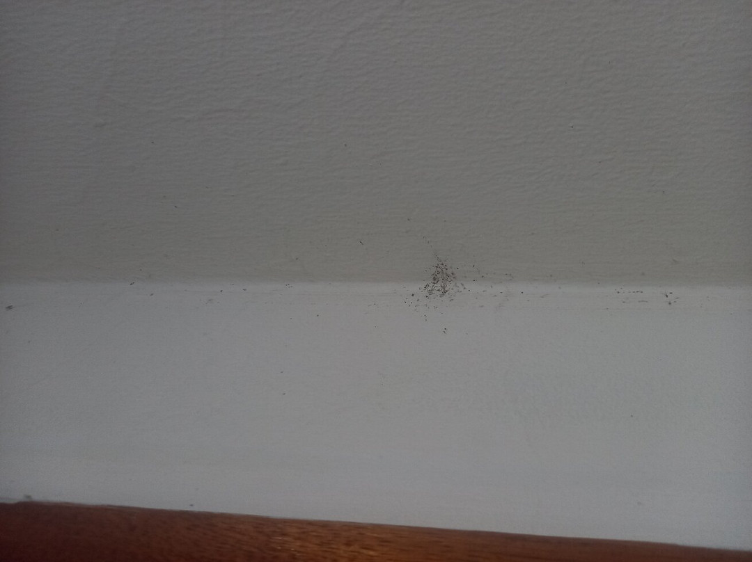 Hotel Montanhes主图