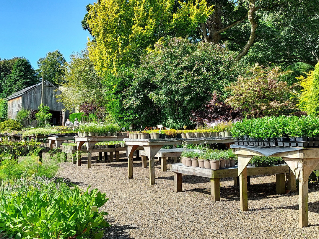 Stanton Hall Gardens and Nursery-莫佩思必去景点