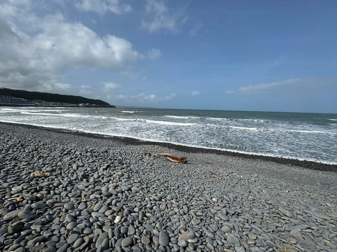 Appledore & Northam Burrows Walk景点图片