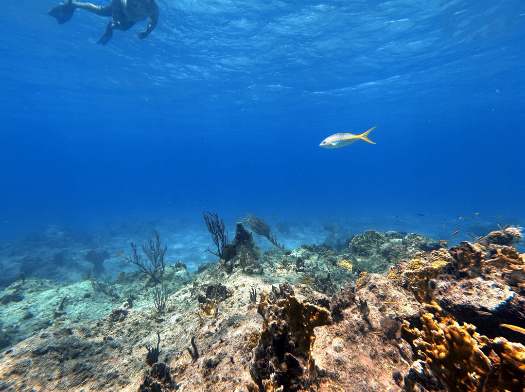Sea Jay Cruises-格雷斯湾必去景点
