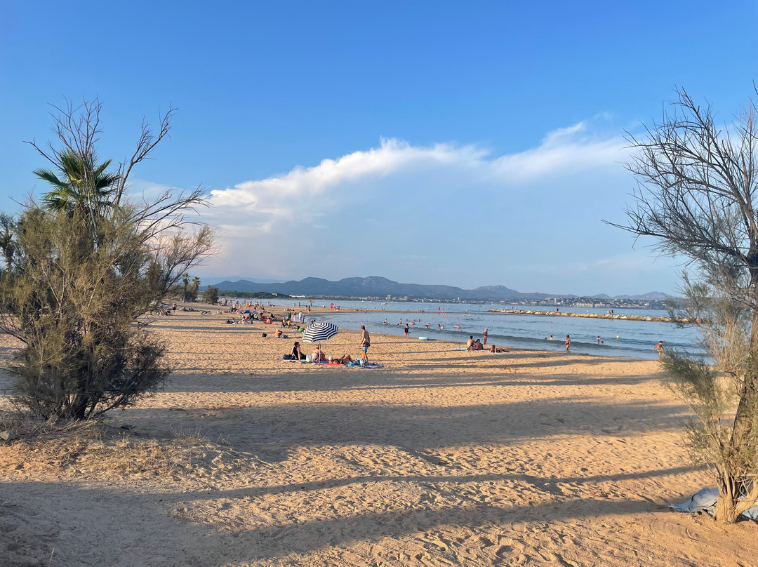 Esclamandes Beach景点图片