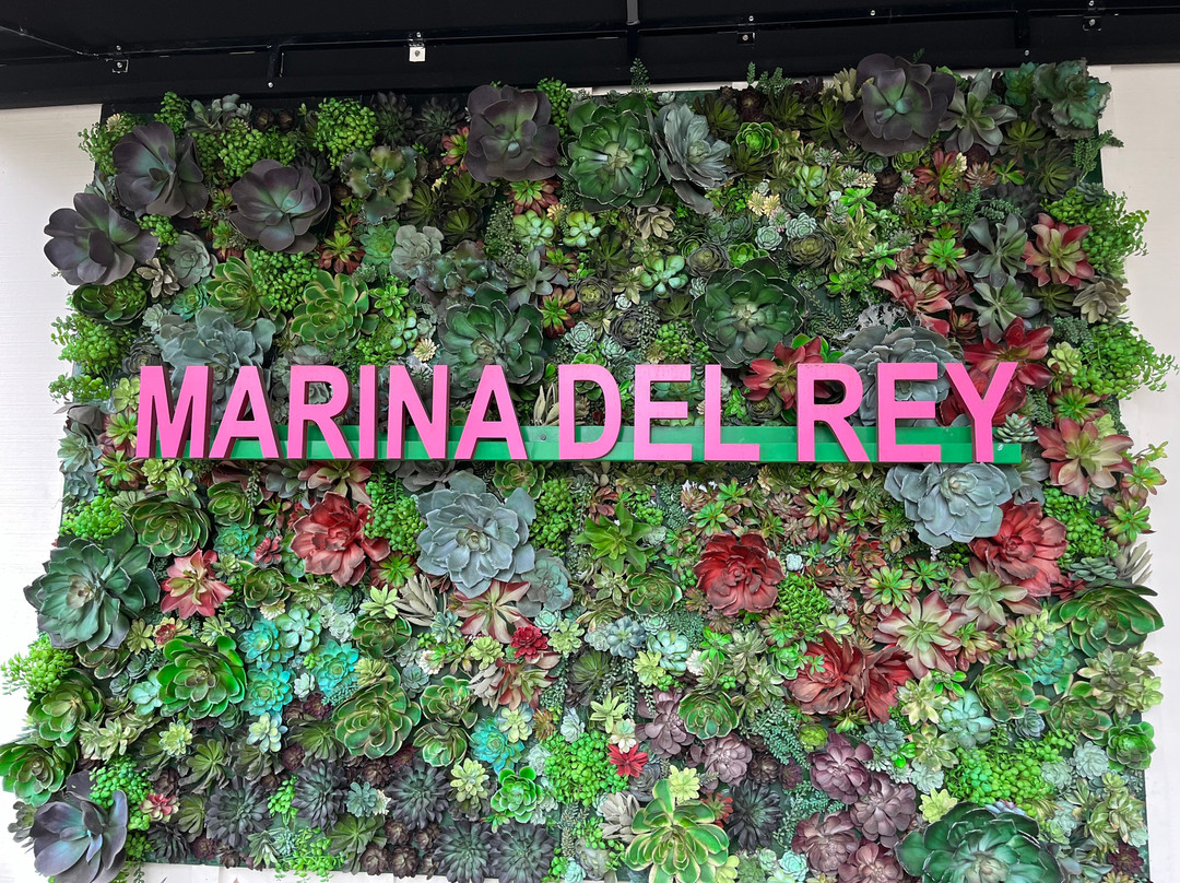 Cocobeach Bar & Grill