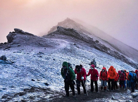 Tanzanite Trekking And Safaris-莫西必去景点