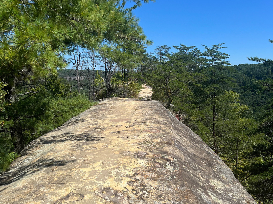 Sky Bridge Trail景点图片