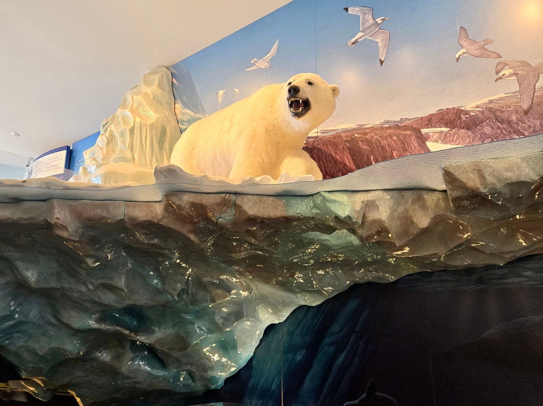 Unikkaarvik Visitor Centre-Iqaluit必去景点