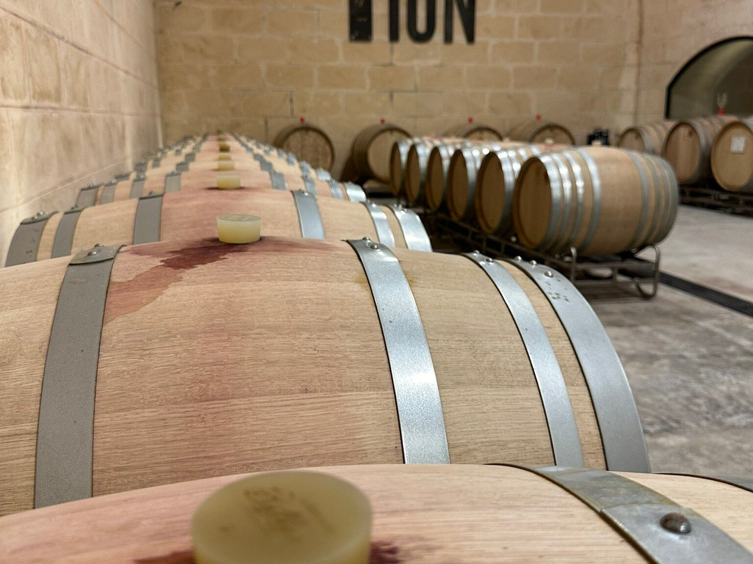 Bodega Terra Ión景点图片