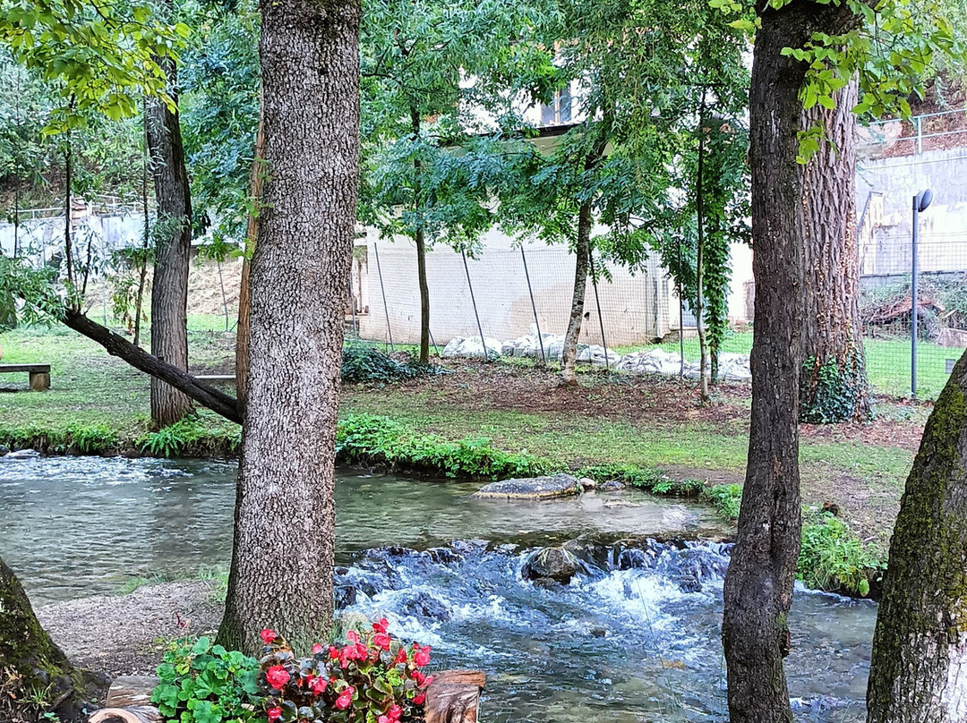 Parco Fluviale delle Acquevive景点图片