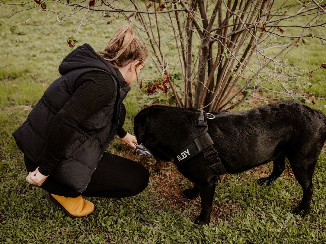 The Margaret River Truffle Farm景点图片