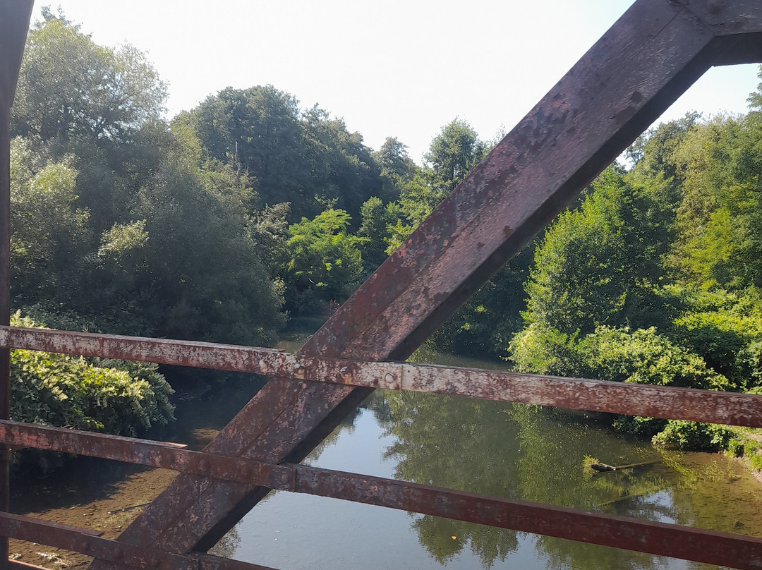 Vélorail Sud Alsace-Aspach-le-Bas必去景点