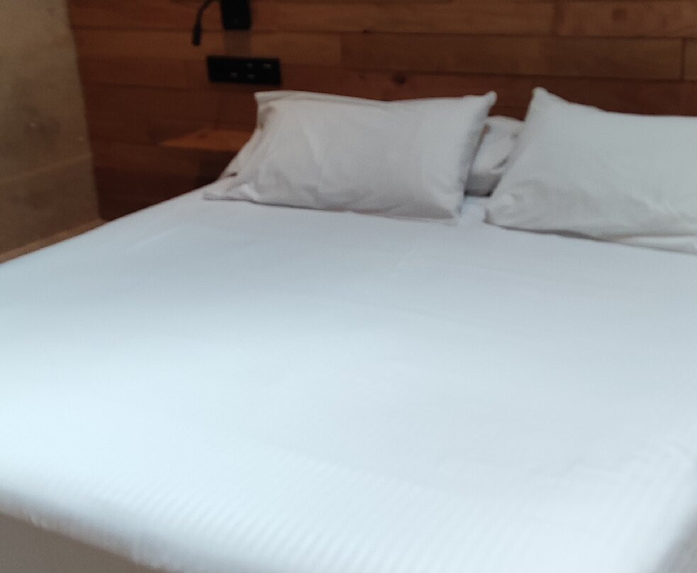 Hotel Do Porto主图