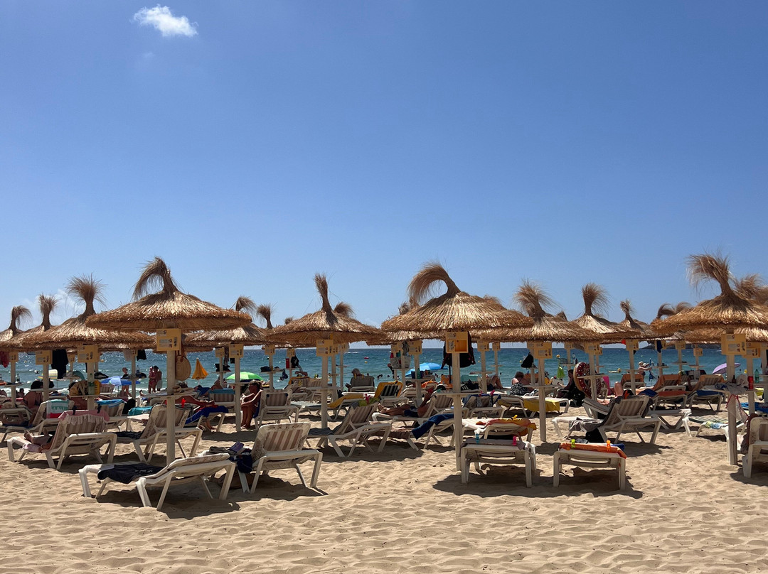 Playa Palmira景点图片