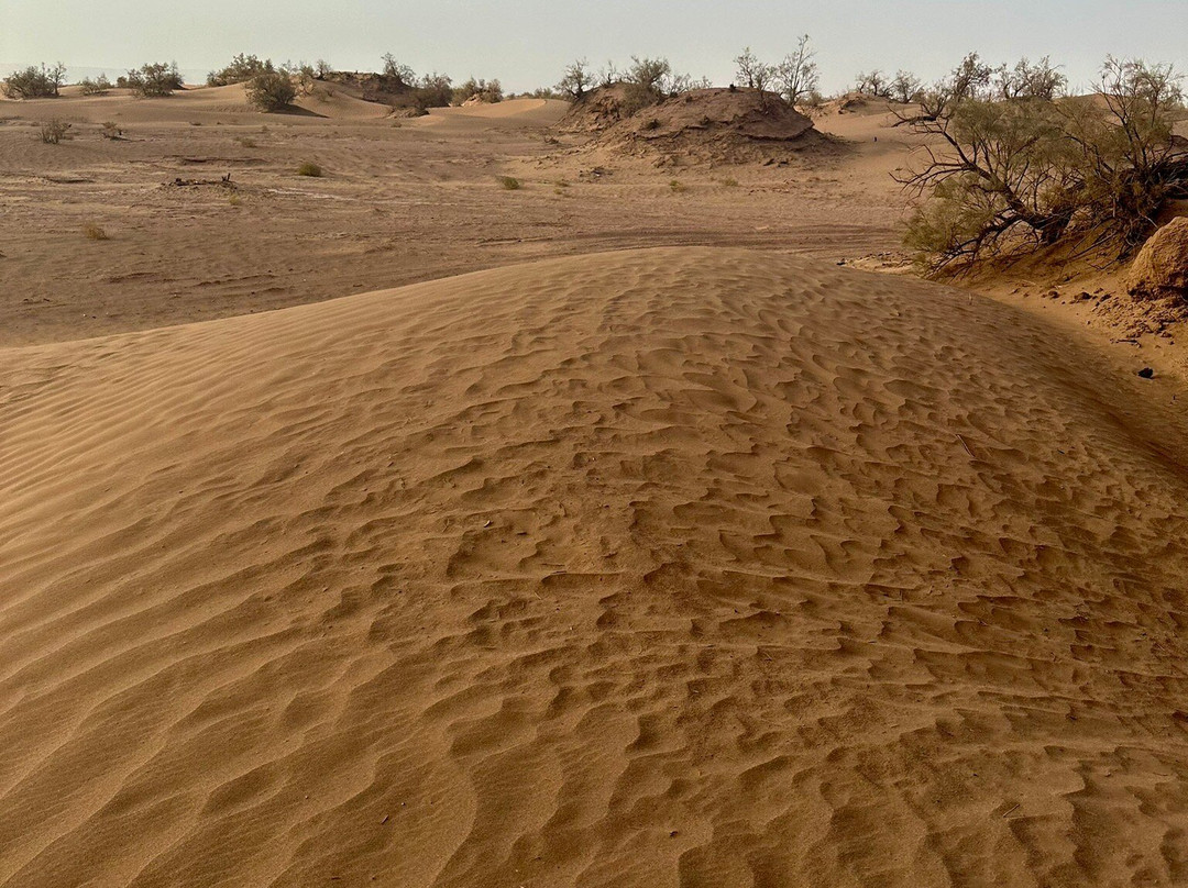 Caravane Du Grand Erg-扎古拉必去景点