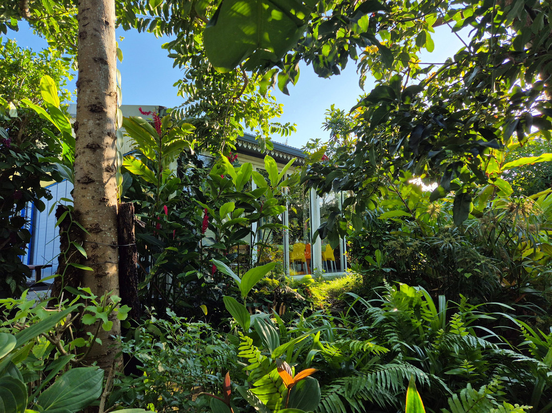 L'Arbre de vie主图