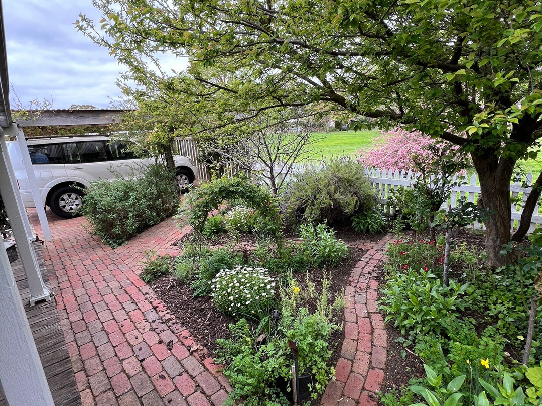 Sarah's Cottage Penola主图