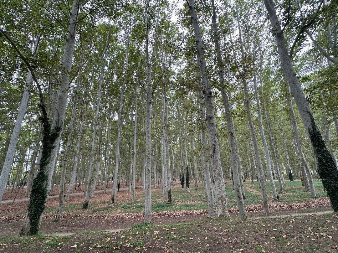 Parc de la Devesa景点图片