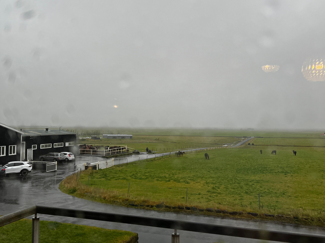 Skálakot Manor Hotel主图