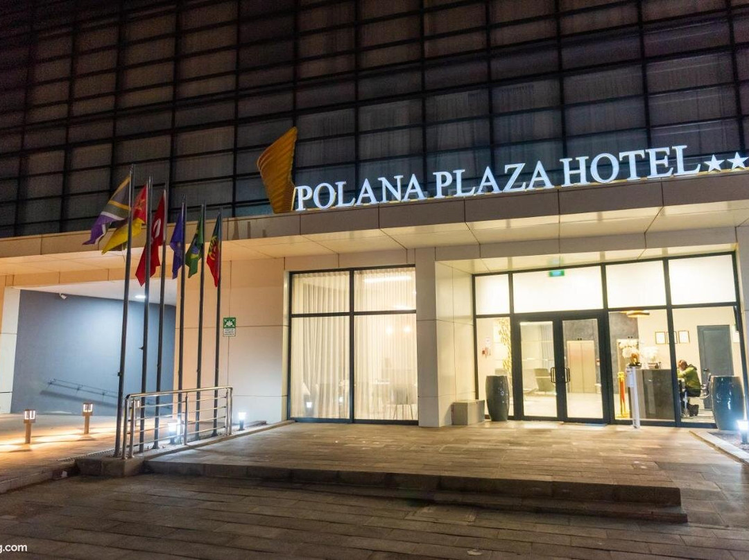 Polana Plaza Hotel主图