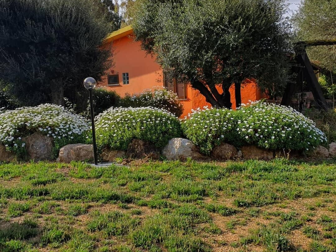 B&B  Stella Sulcitana :主图