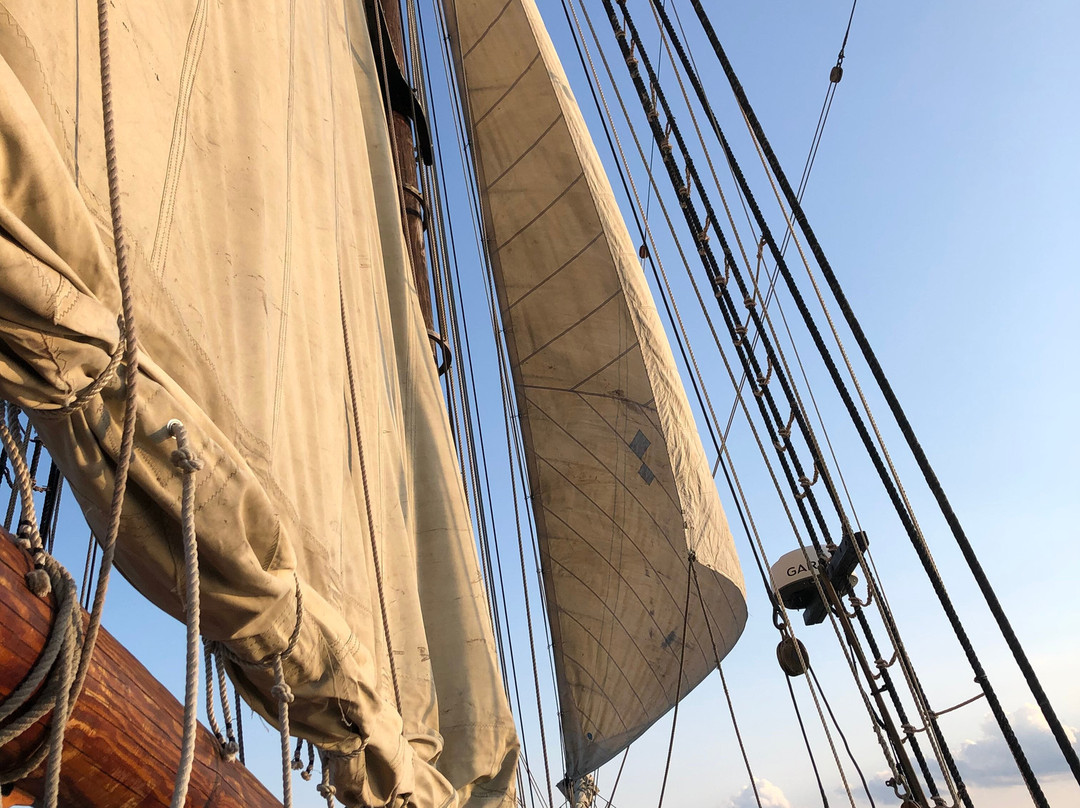 Tall Ship Providence-亚历山德里亚必去景点