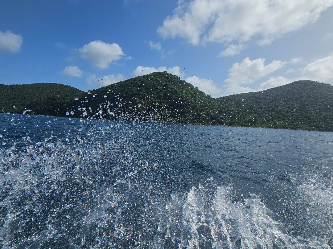 Empire Boat Charters-Red Hook必去景点