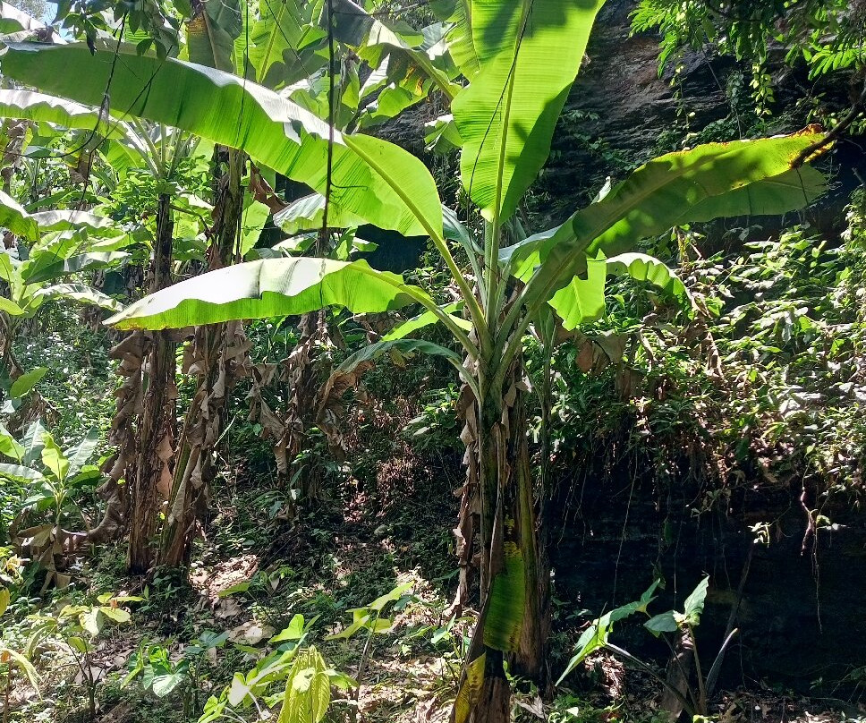Cascade de Womé-Kpalime必去景点