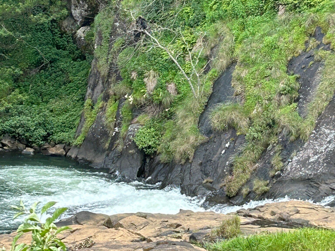 Pykara Falls景点图片