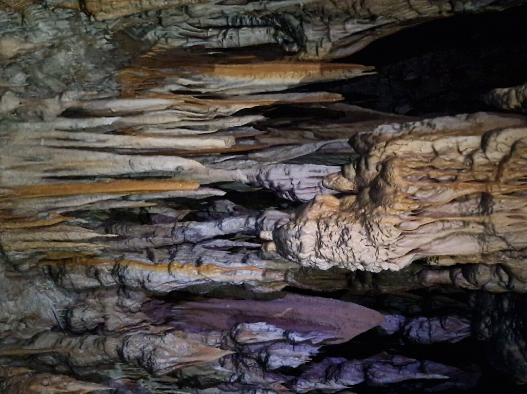 Modrič Cave-Rovanjska必去景点