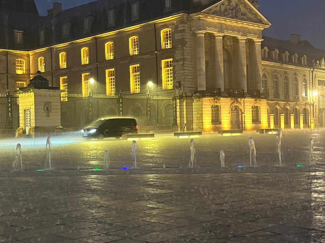 Place de la Liberation景点图片
