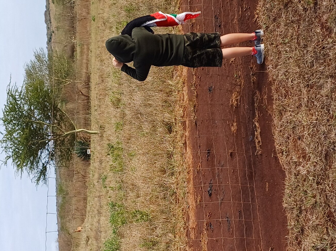 Hluhluwe Country Cottages主图