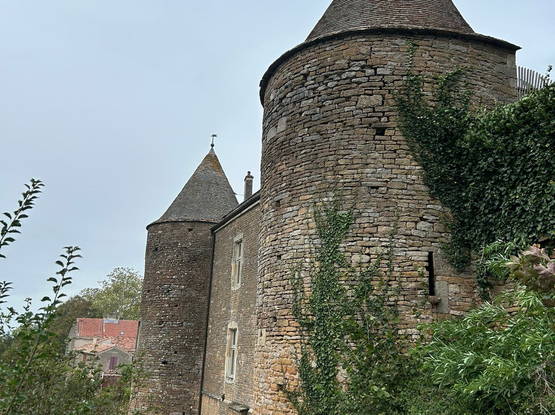 Château de Brancion景点图片
