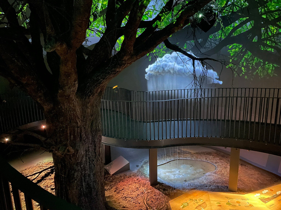 Naturkraft景点图片