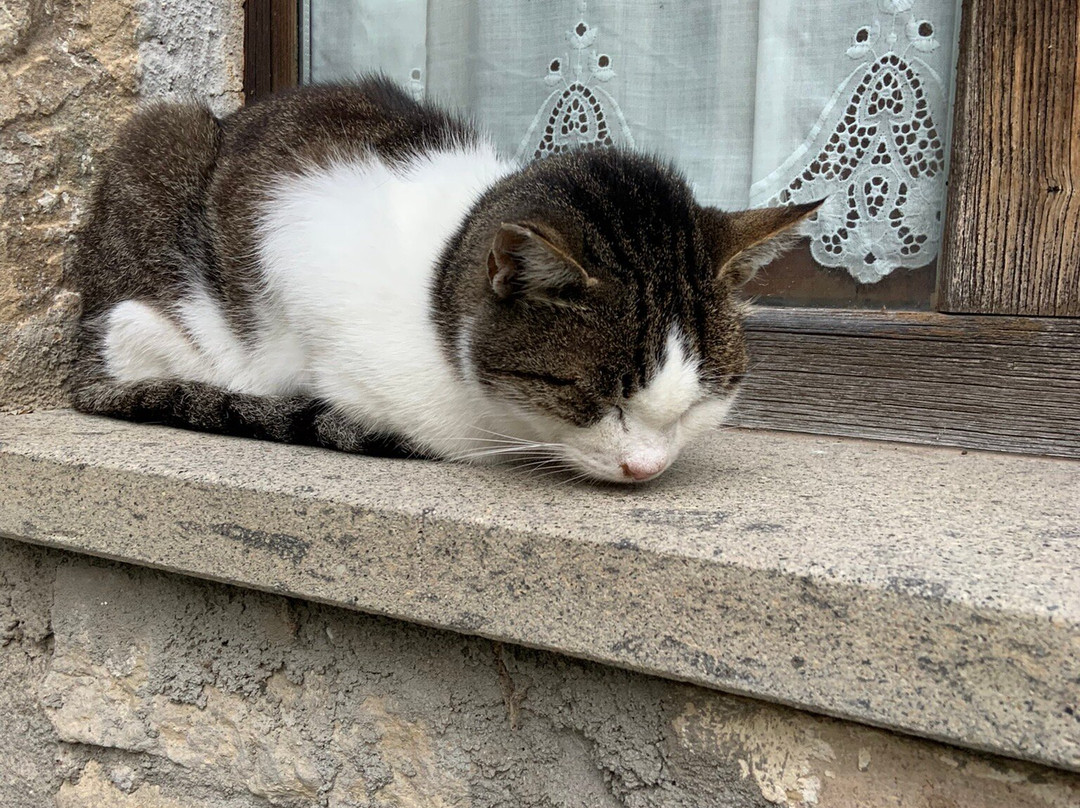 Agriturismo San Giorgio主图