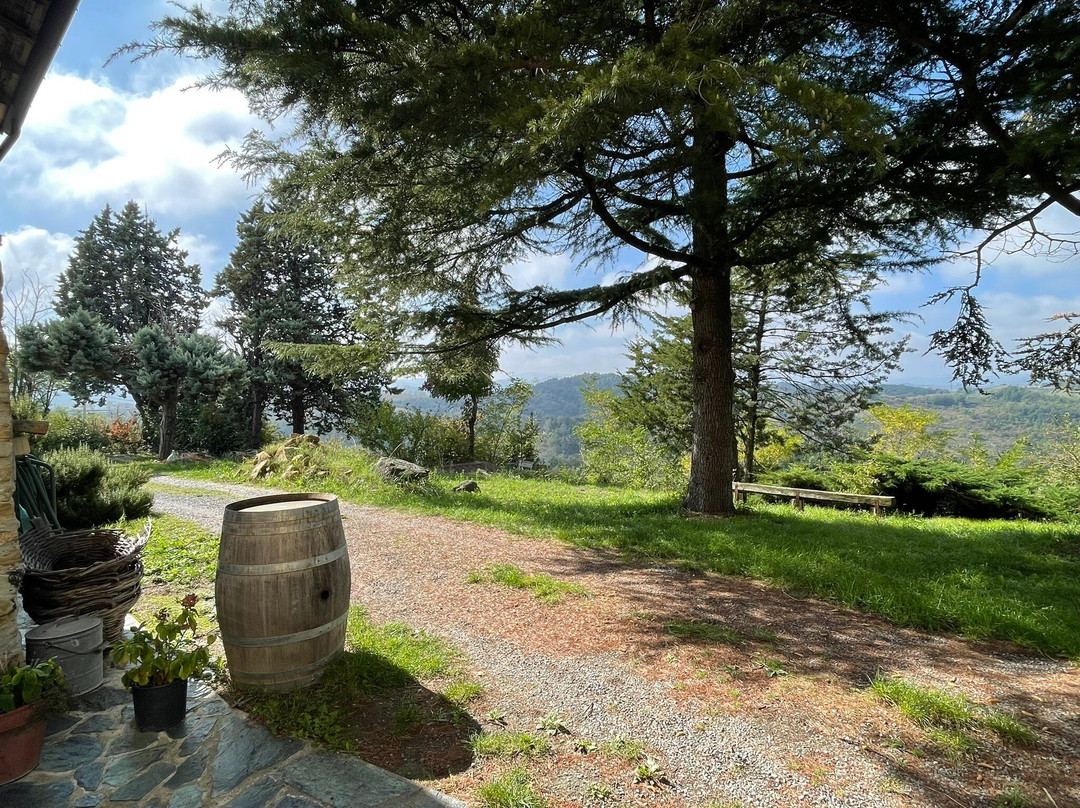 Azienda Agricola Cascina Belvedere 1932-Mornese必去景点