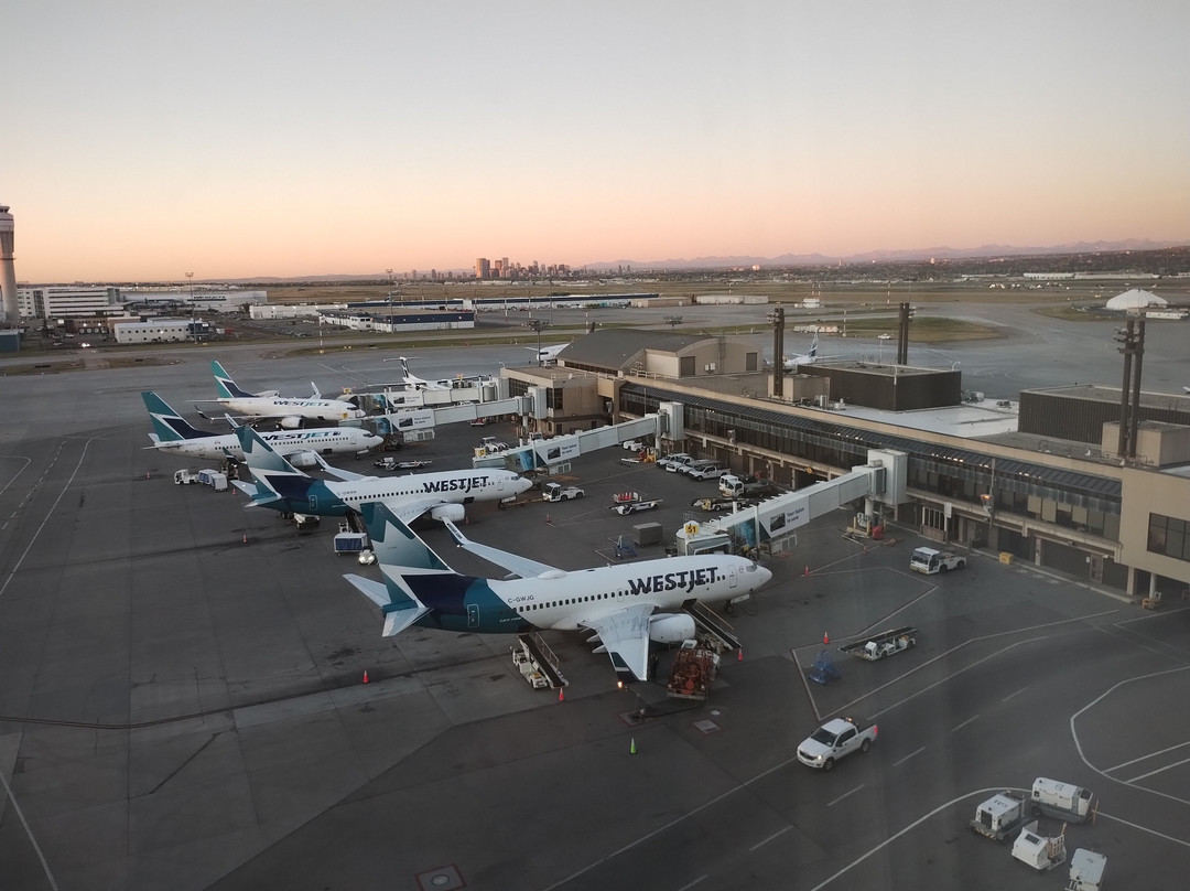 卡尔加里机场万豪酒店主图