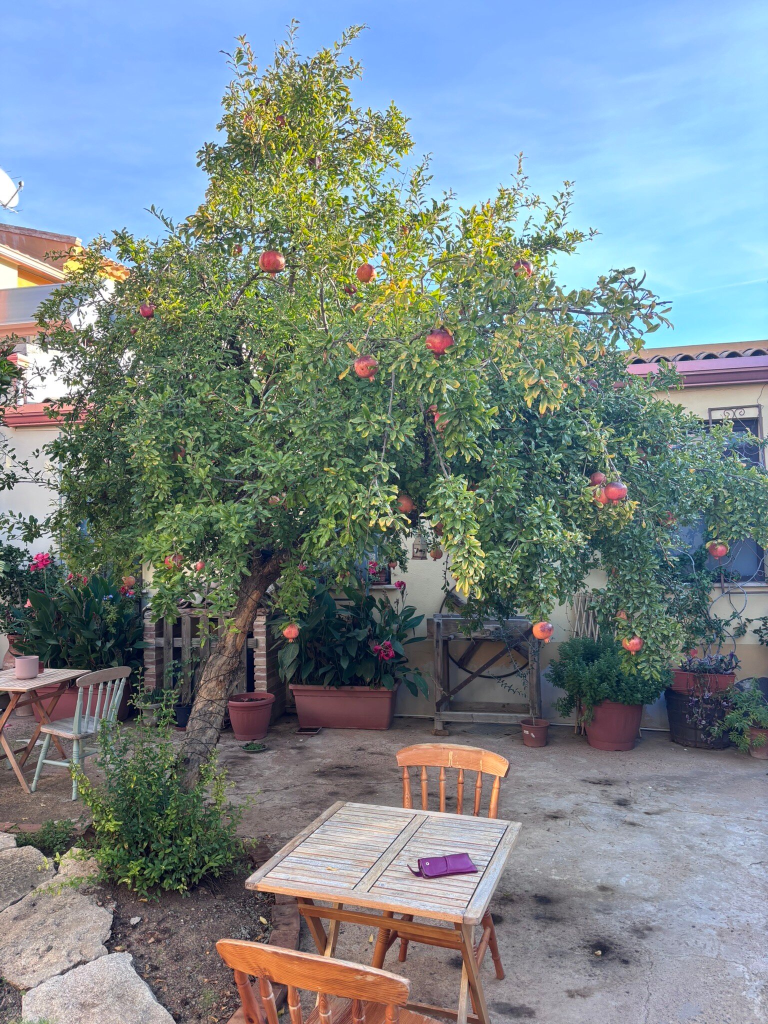 Corti Froria Bed & Breakfast-官方