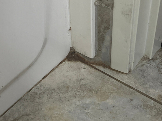 Holiday Inn Express & Suites Jackson Downtown - Coliseum By IHG主图