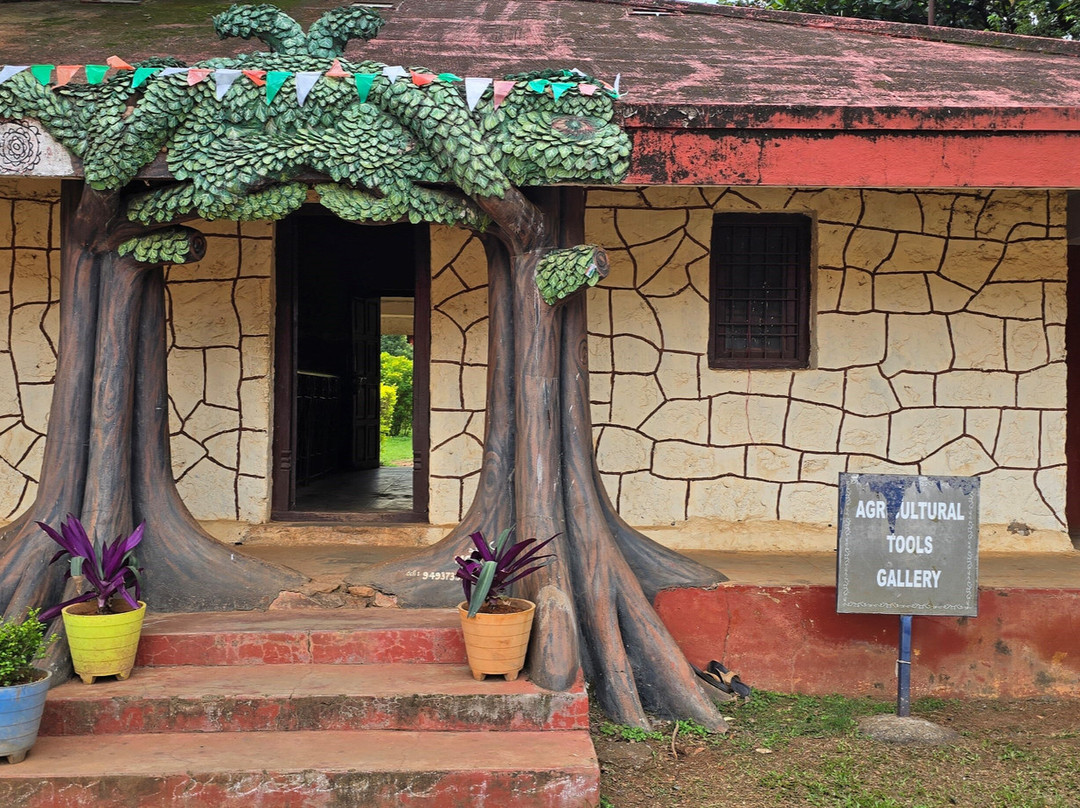 Araku Tribal Museum景点图片