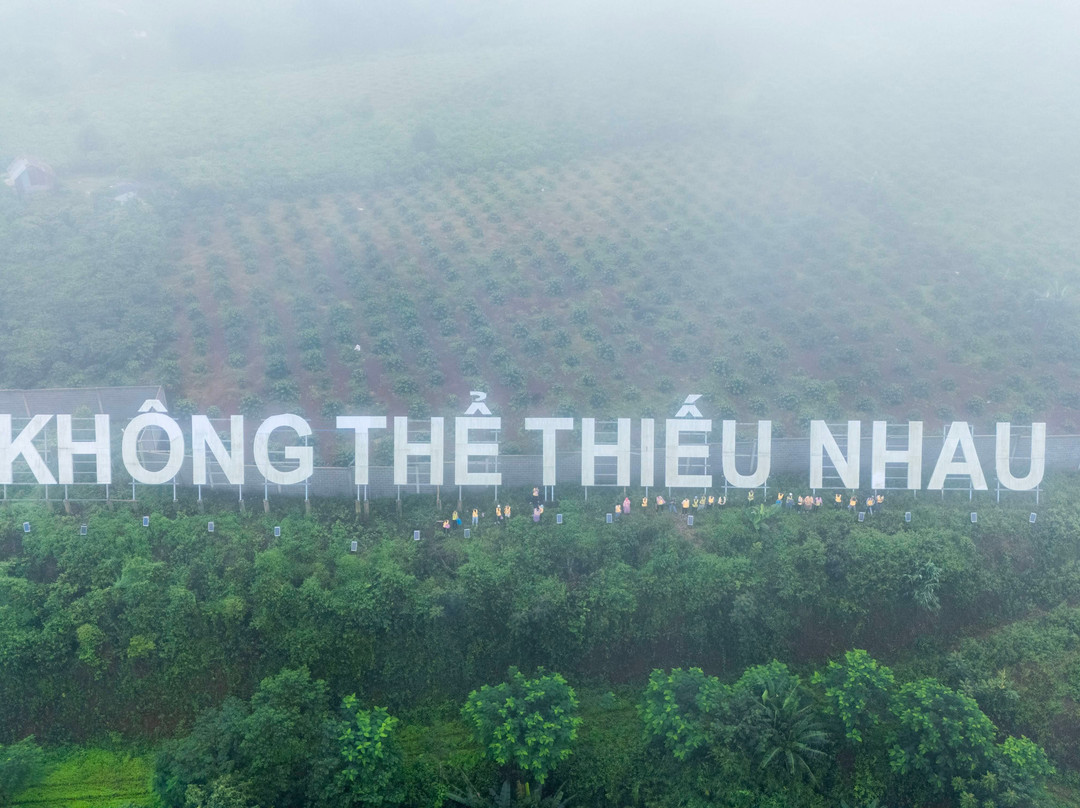 Tea Bobla Waterfall-Di Linh必去景点