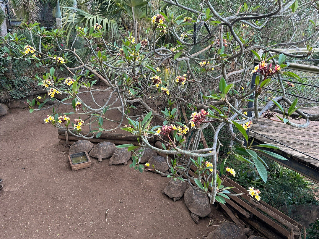 Le Jardin Des Tortues景点图片