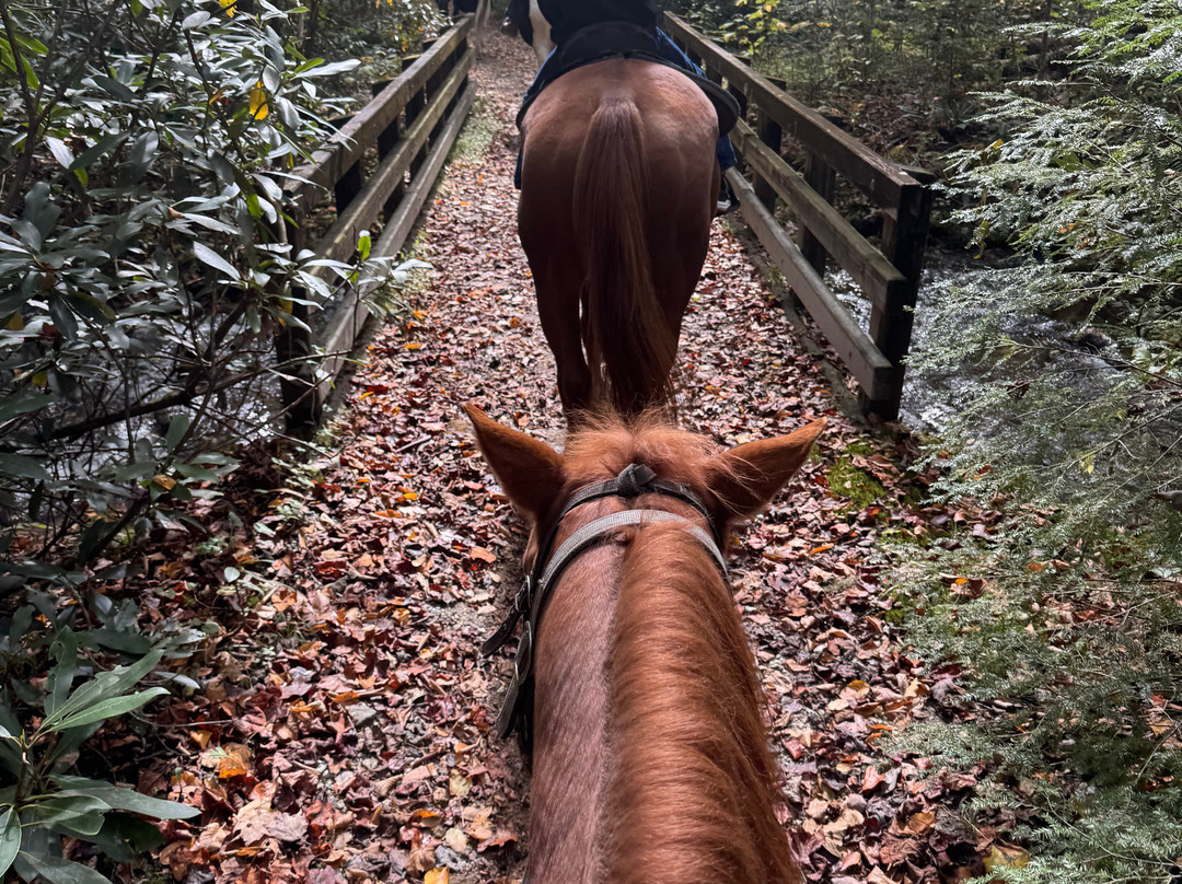 Smokemont Riding Stables景点图片
