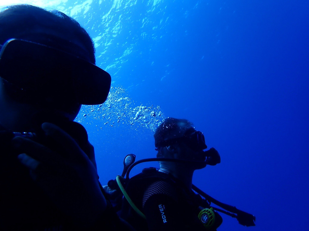 Dwejra Divers-圣劳伦斯必去景点