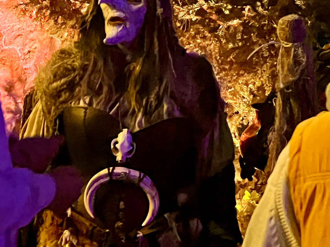 Filmpark Babelsberg-波茨坦必去景点