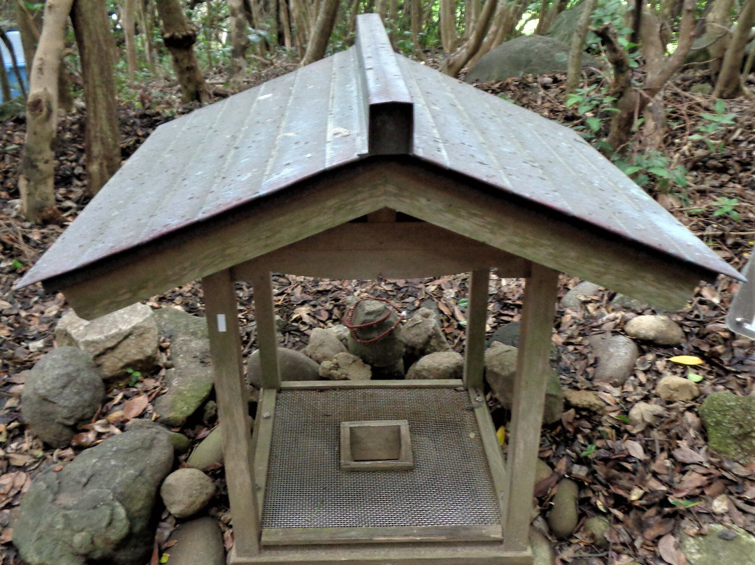 Ashizuri Nature Trail Ashizuri Nanafushigi-土佐清水市必去景点