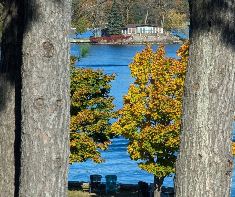 Scenic View Park景点图片