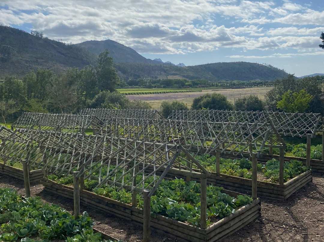 Backsberg-法兰舒克必去景点