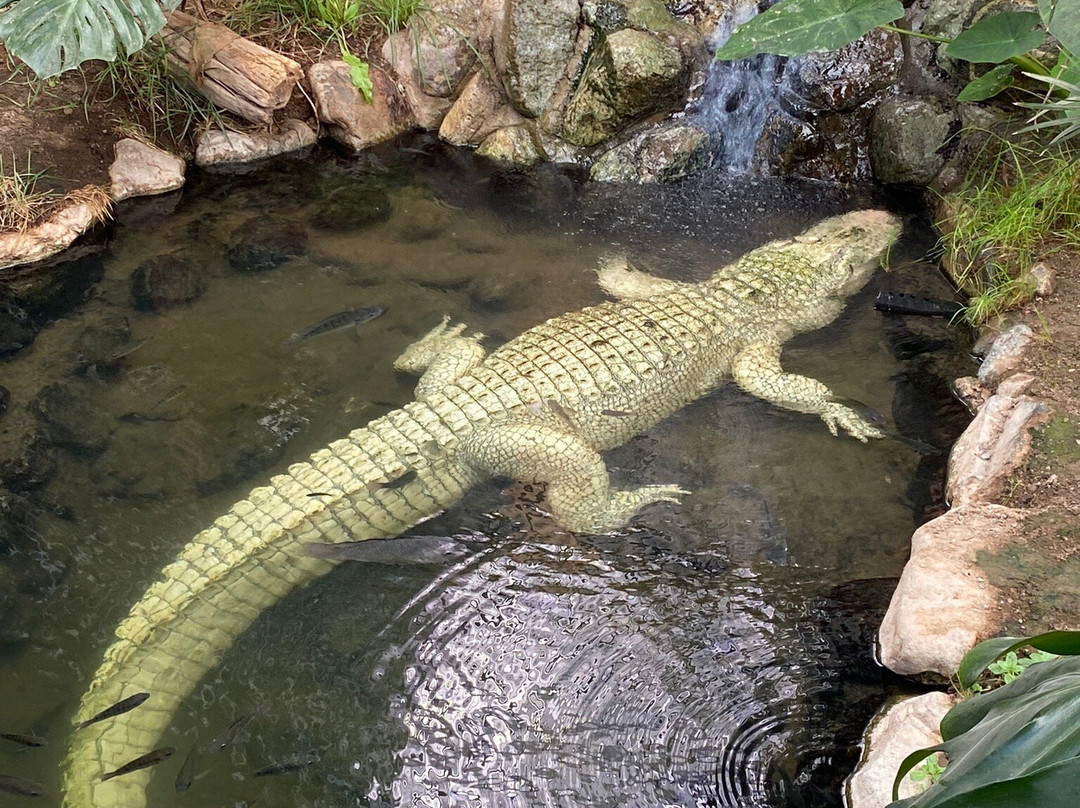 Colorado Gators Reptile Park-Mosca必去景点