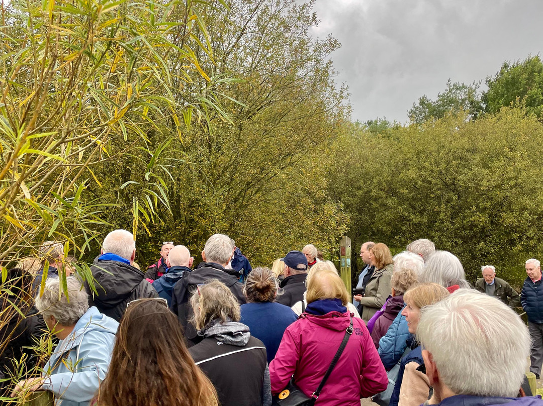 Lough Neagh Discovery Centre景点图片