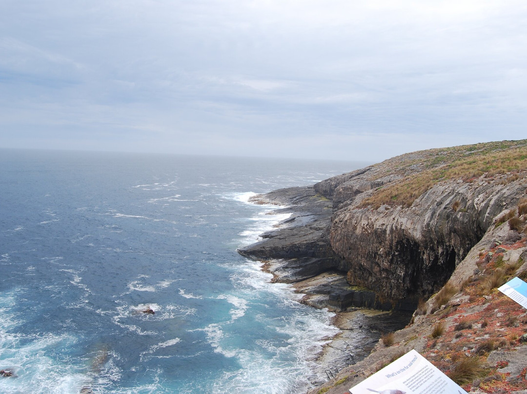 Admirals Arch-袋鼠岛必去景点